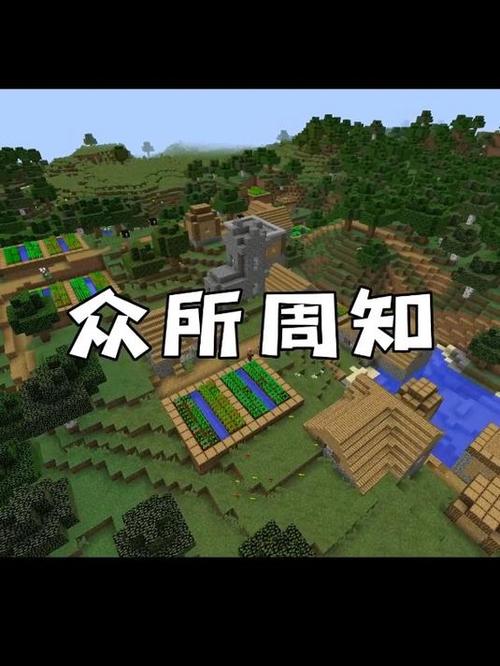 我的世界村庄井秘密