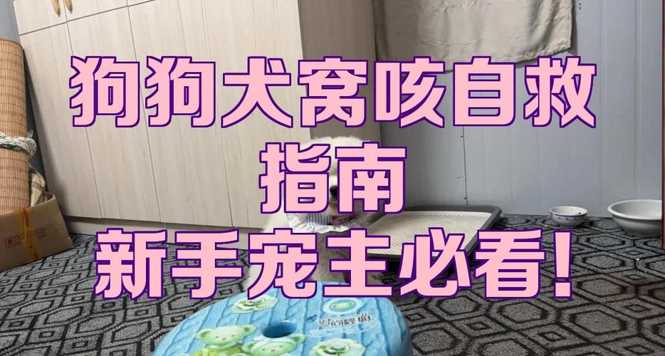 小狗犬窝咳治疗方案游戏截图