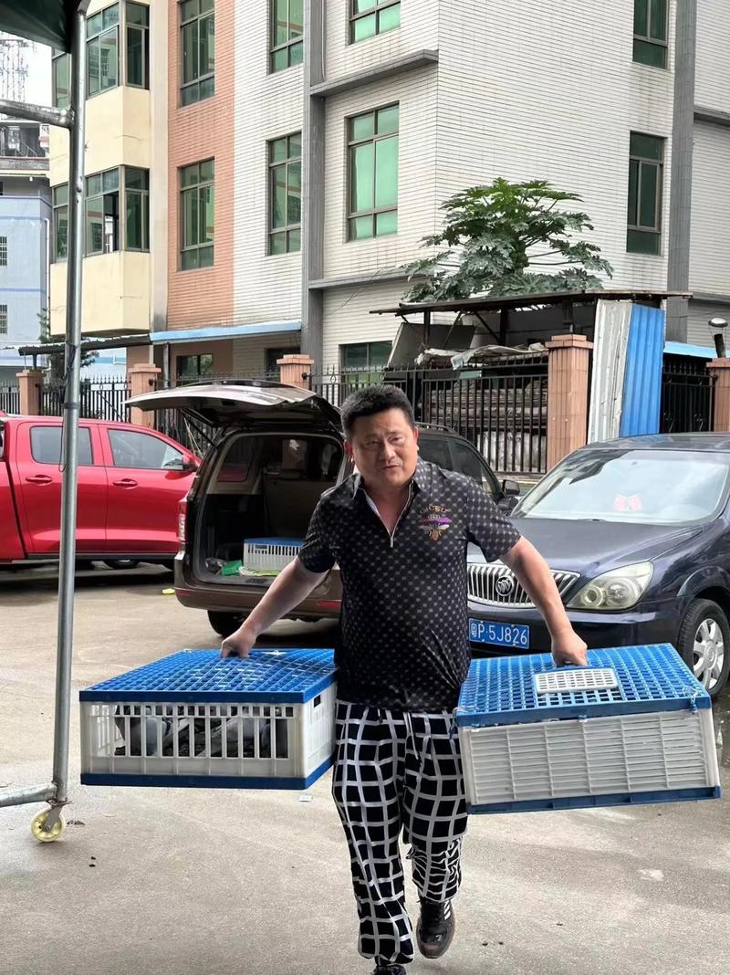 惠州三合诚俱乐部官网截图