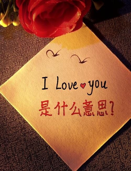 novacane有什么特殊含义爱情