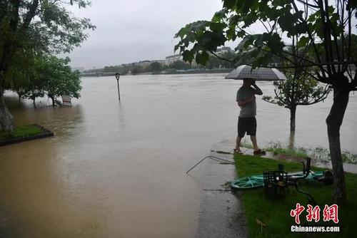 府河水位实时查询