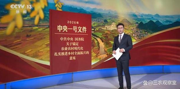 被派去驻村意味着什么