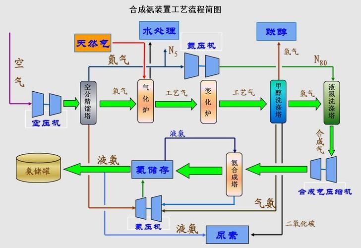脑组织中氨的组织形式是合成