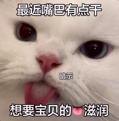 调皮表情暗示着什么图标