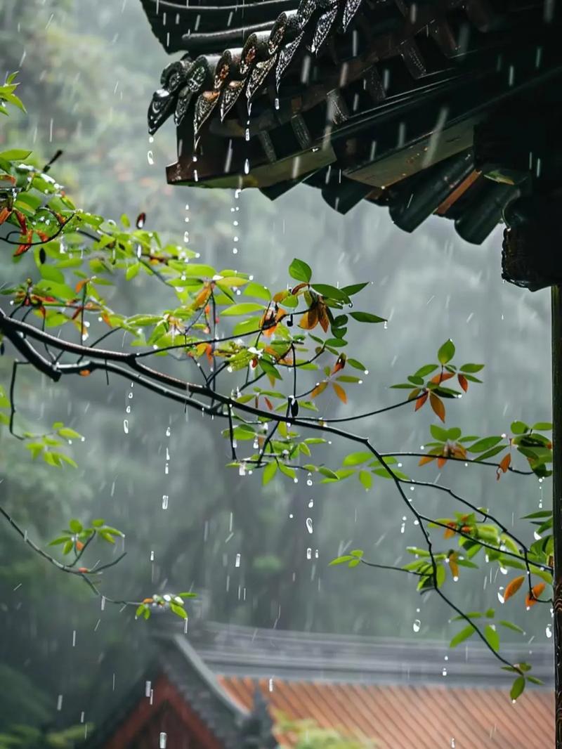 picacomic仲夏版缩略图