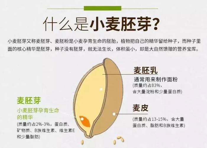 麦芽孕育APP