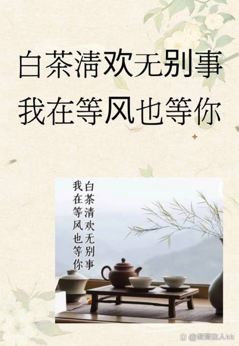 我在等风也等你前一句