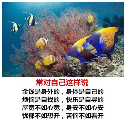 经典内涵的句子