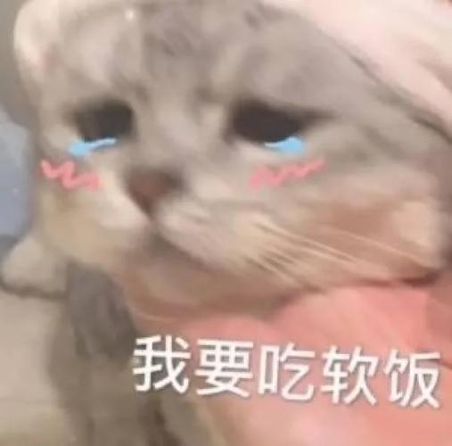 渣攻重生我拒吃软饭