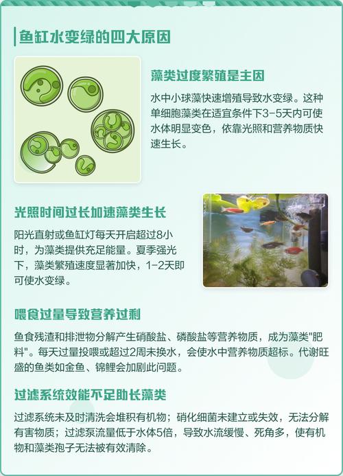 鱼缸水体发绿是什么原因