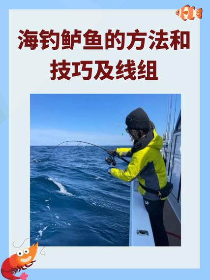 6加4线组最建议钓多少鱼