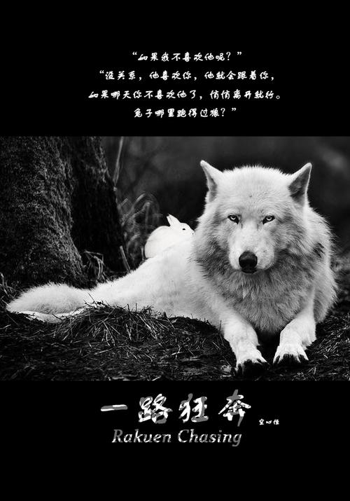 一路狂奔意思截图