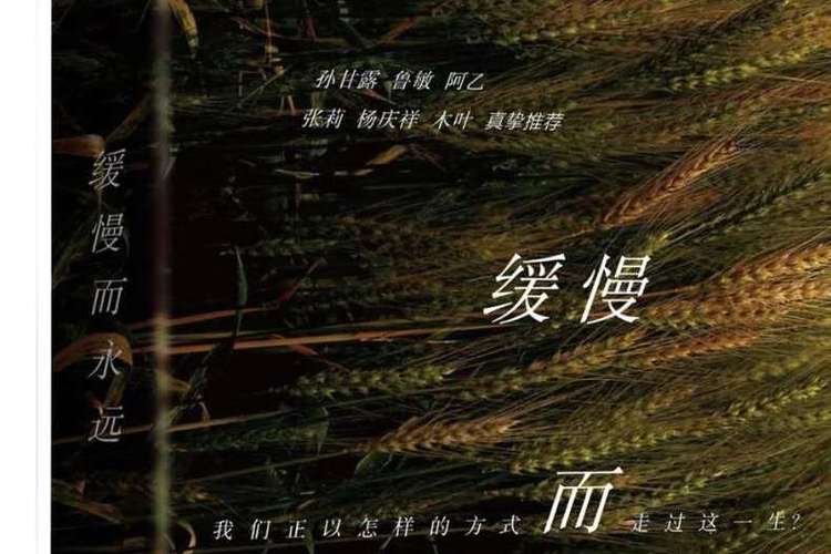 缓慢而永远免费阅读