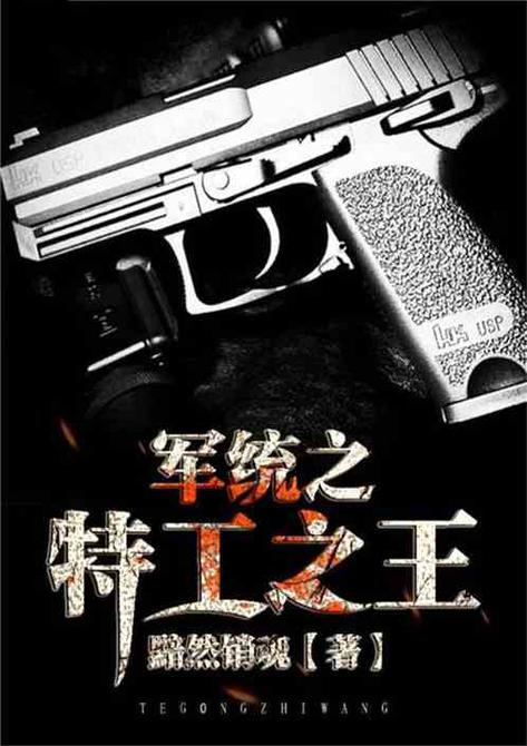 穿越成为军统特工的小说