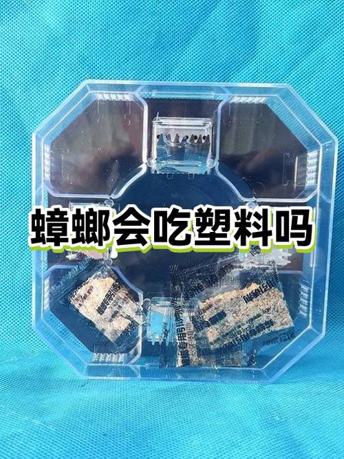 蟑螂咬过的塑料袋图