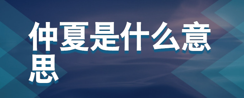 仲夏版是什么意思