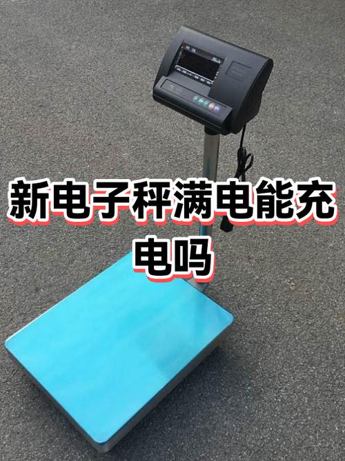 电子秤从哪里充电的呀