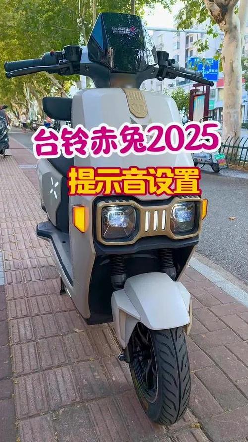 关闭电动车提示音的方法