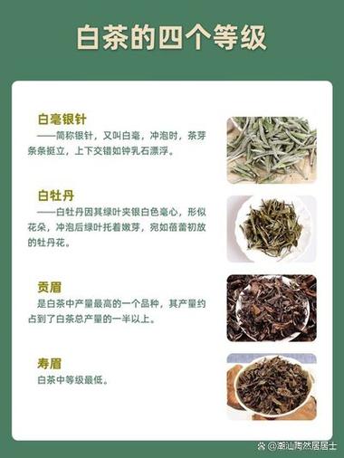 白茶品种等级排名