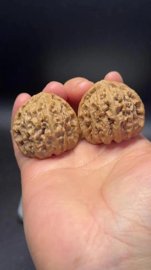 三角白狮子头怎么看好坏