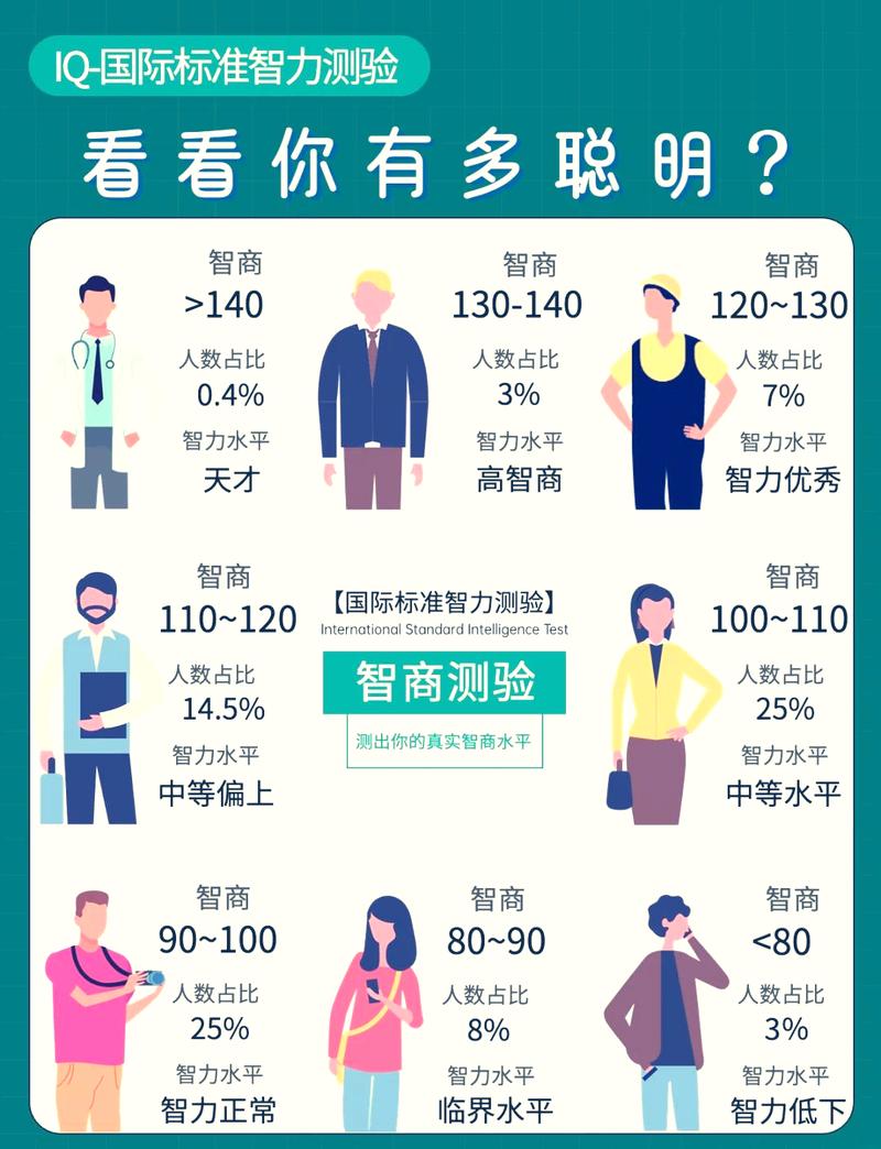 智伴查排名官网入口