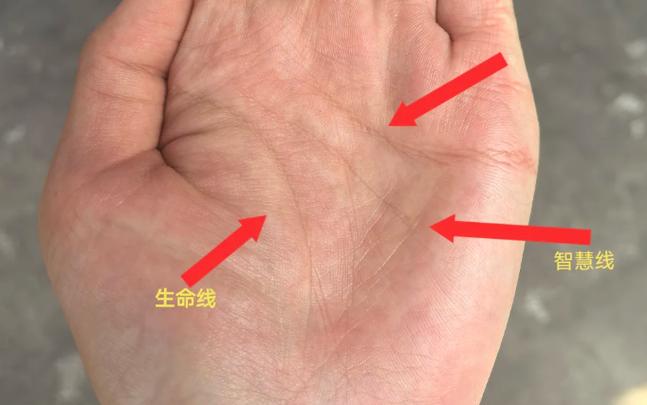 掌间财富