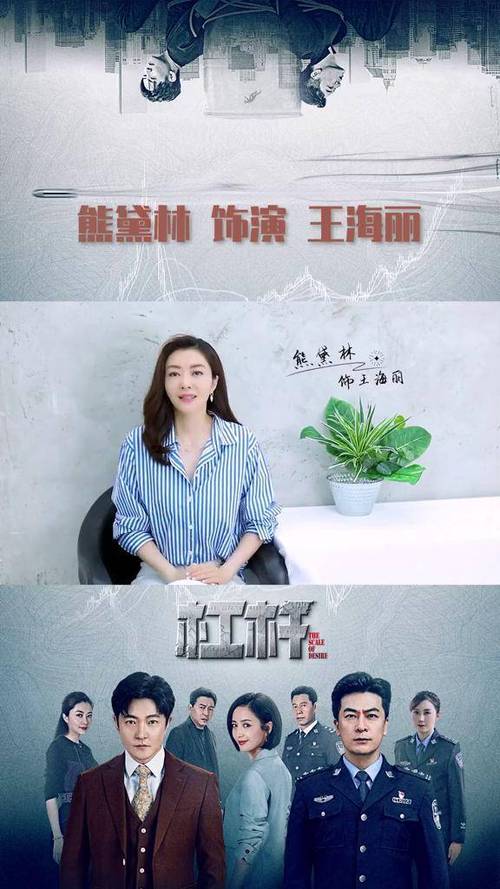 电视剧杠杆分集剧情介绍缩略图