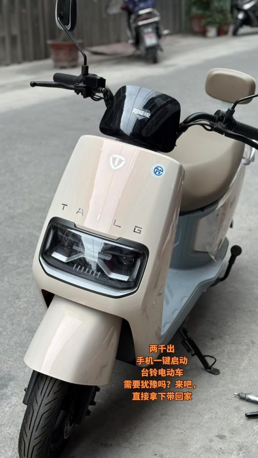 台铃优享哪个版本最好