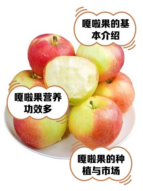 嘎啦果吃多了会怎样