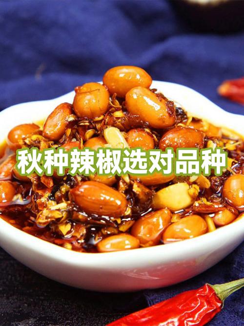辣椒别名叫什么