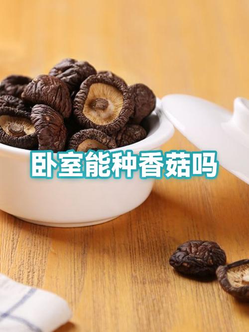 男人吃香菇对性功能有影响吗