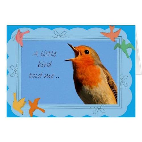 littlebird的中文
