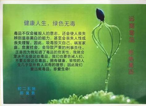 健康生活绿色无毒800字