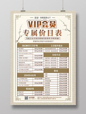 VIP会员费用