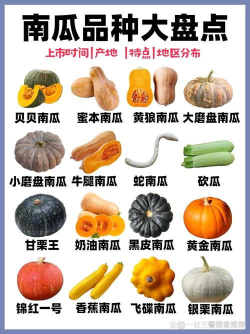 南瓜种类大全图片及名称缩略图