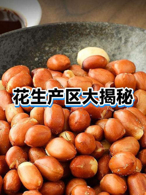 世界花生主要生产地