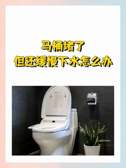 手镯掉进马桶冲了几次下水