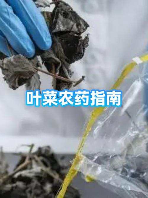 蔬菜常用农药一览表缩略图