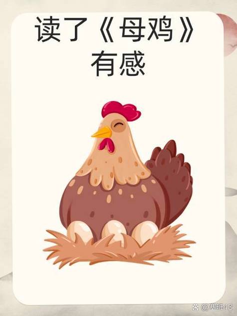 老舍的母鸡课文原文图标