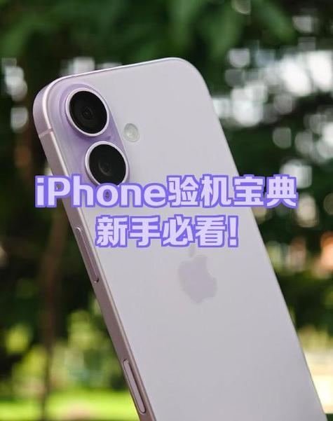 苹果x软件点不进去怎么办