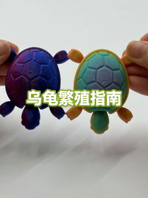 乌龟健康的表现游戏截图