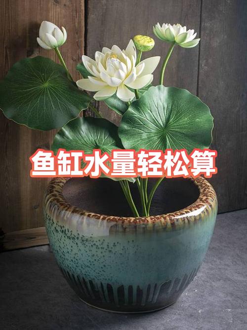 鱼缸怎样算水多少升