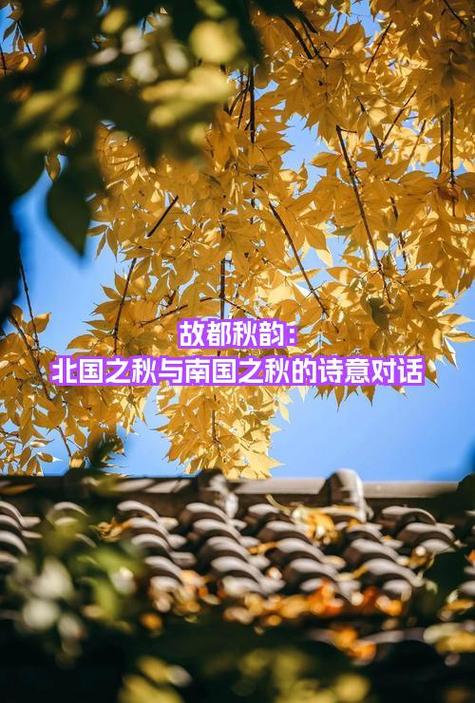 故都的秋理解图标