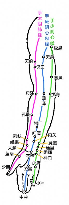 手少阴心经在什么位置