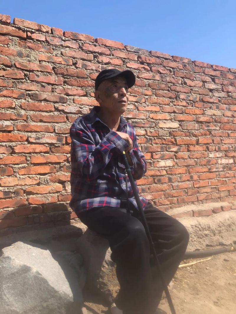 山村逍遥小农民