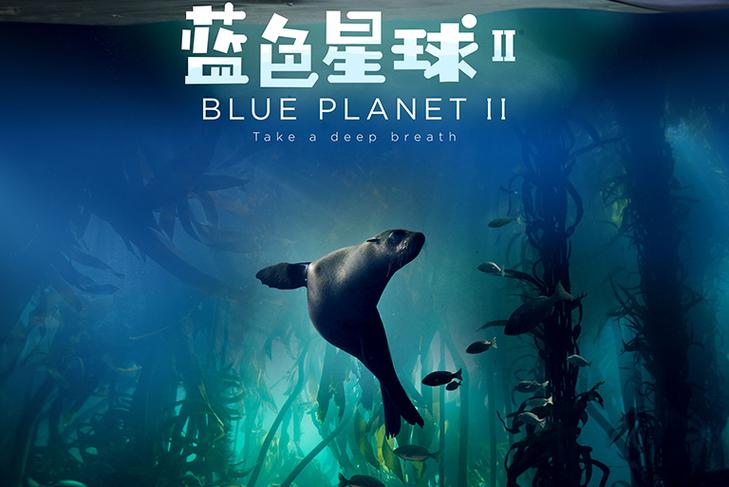 蓝色星球国语版免费观看