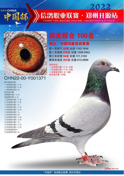 各地赛鸽俱乐部官网