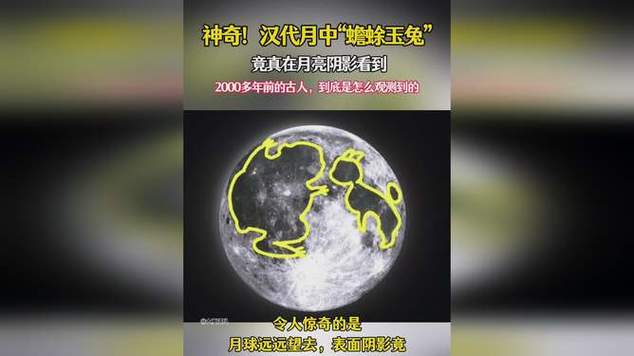 玉兔隐喻为女人的秘密是什么