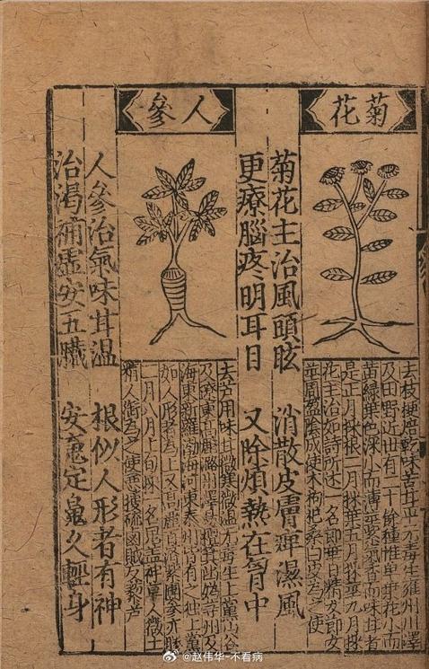 本草纲目版本研究