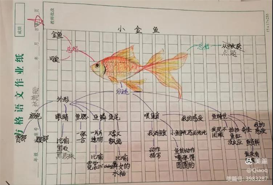 金鱼的阅读和答案